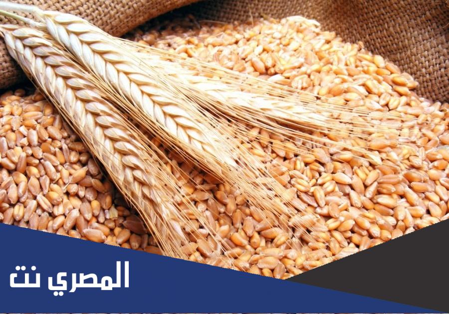 من أين تستورد مصر القمح