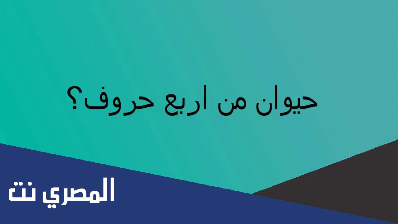 من الحيوانات مكونة من 4 حروف