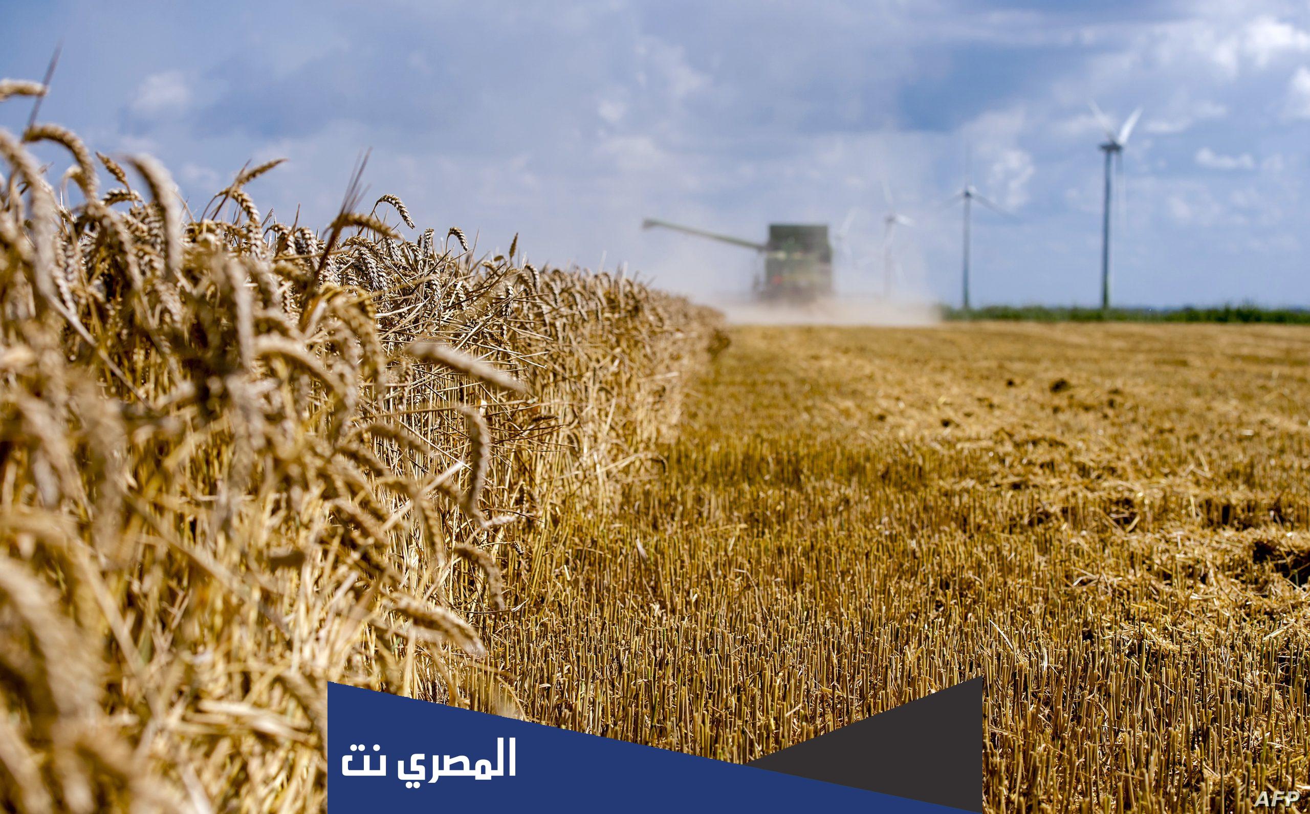 من اين تستورد السعودية القمح؟