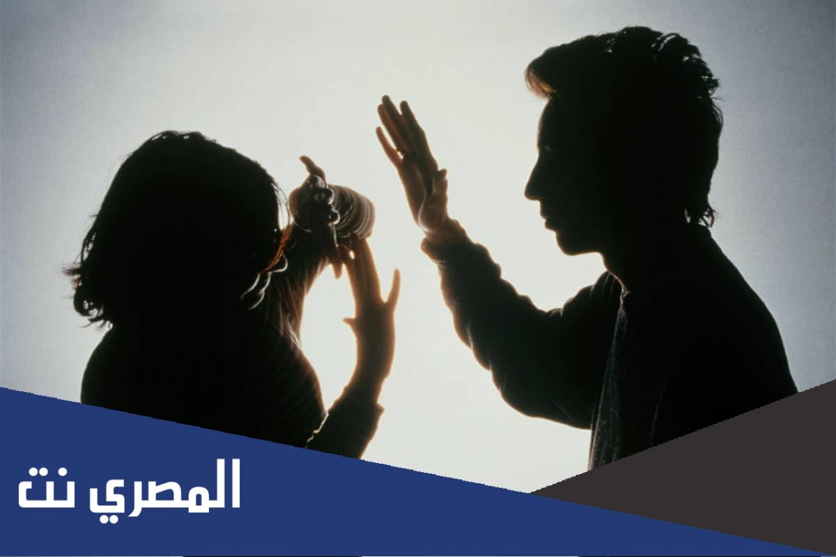 مقدمة عن العنف بشكل عام