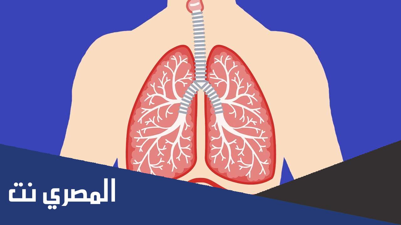 لماذا تعد عملية التنفس مهمة لجسم الانسان