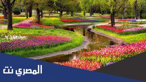 موضوع تعبير عن فصل الربيع بالعناصر والافكار