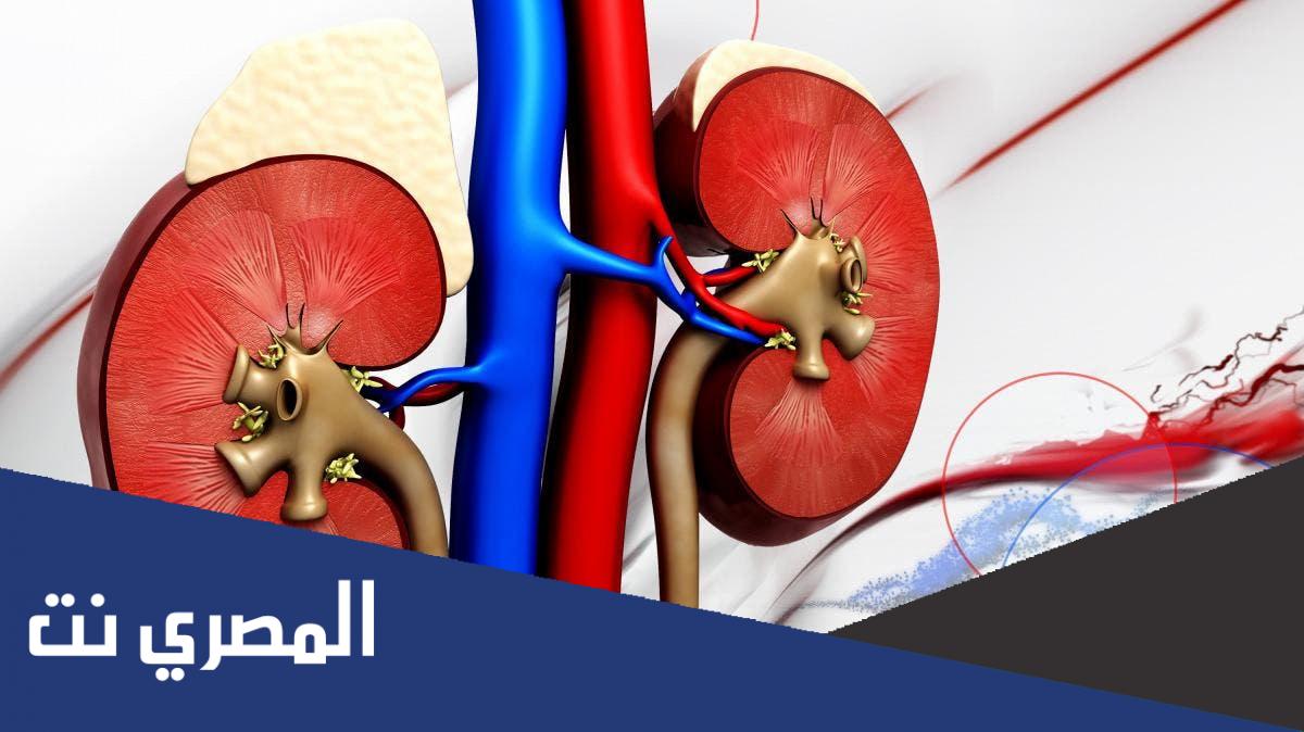 نصائح عامة عن المحافظة على صحة الكلى