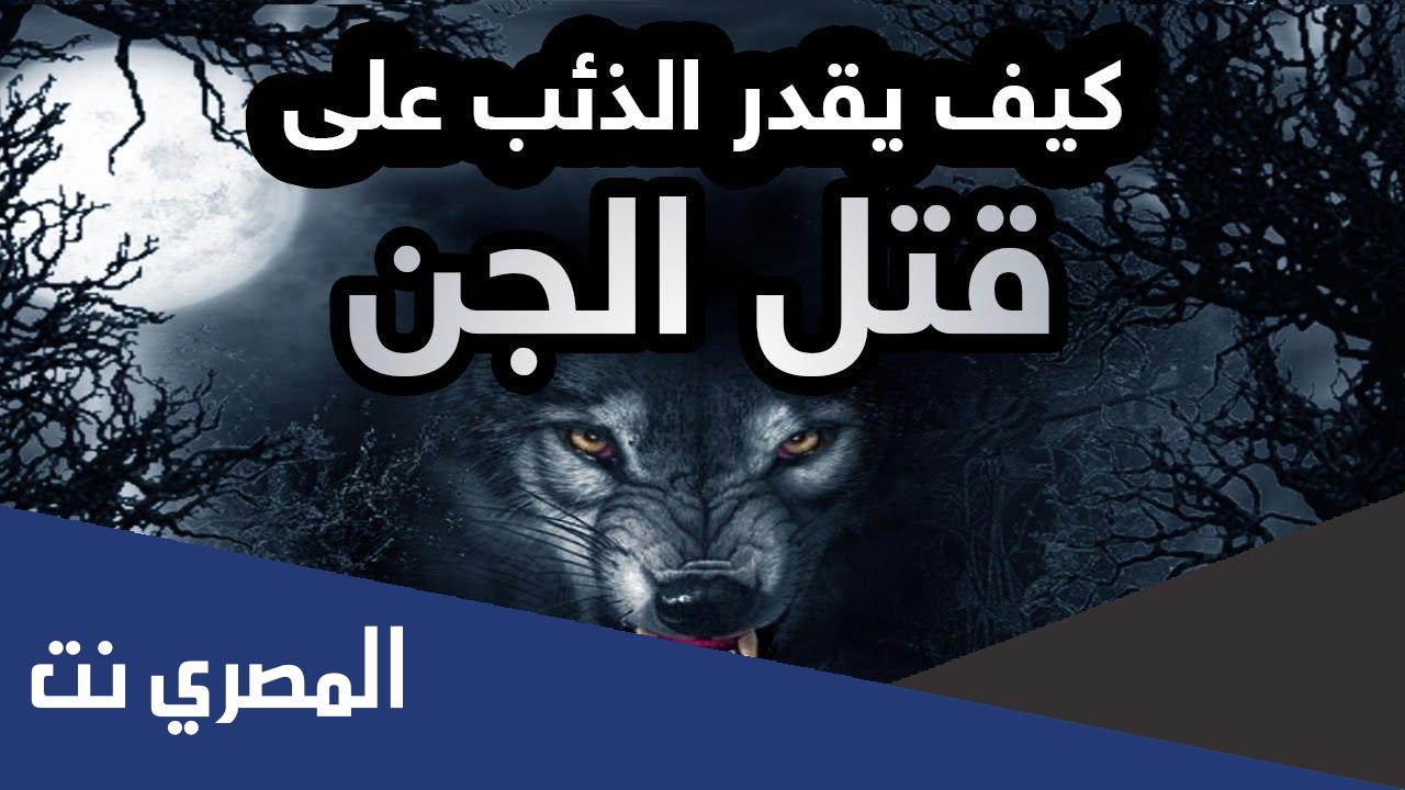 هل الذئب يقتل الجن ابن باز