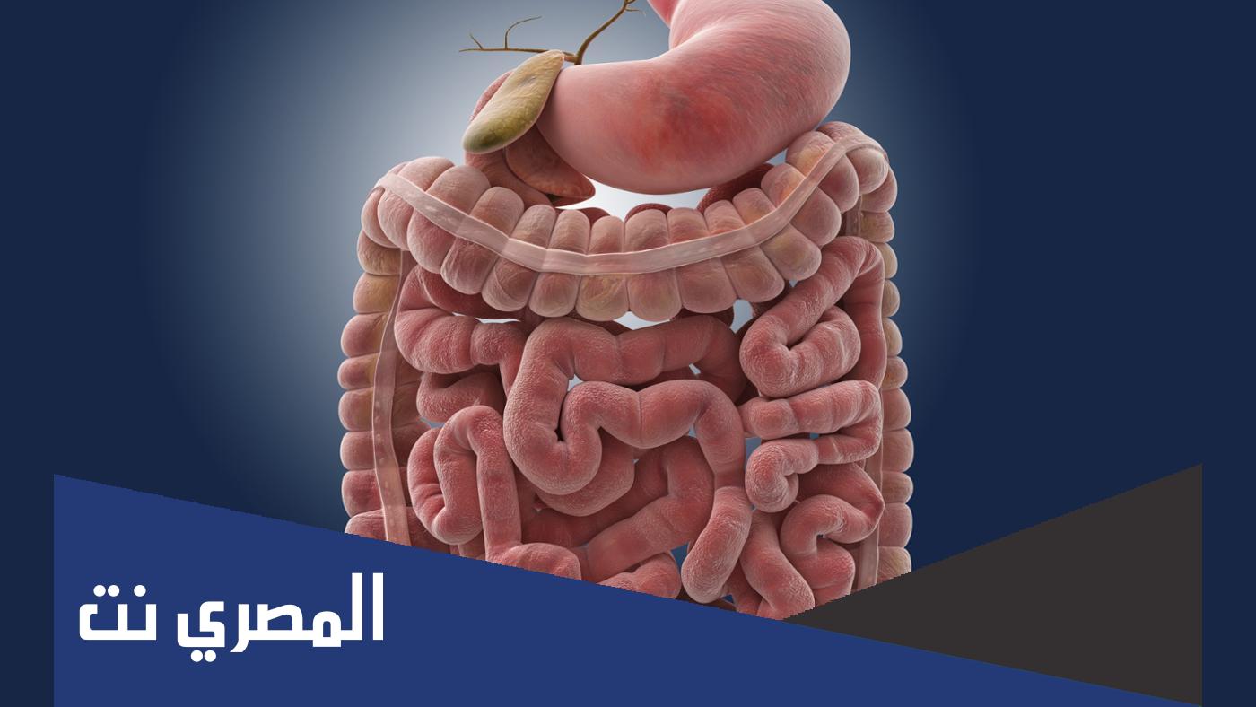 هل القولون هو الأمعاء الغليظة في الجسم