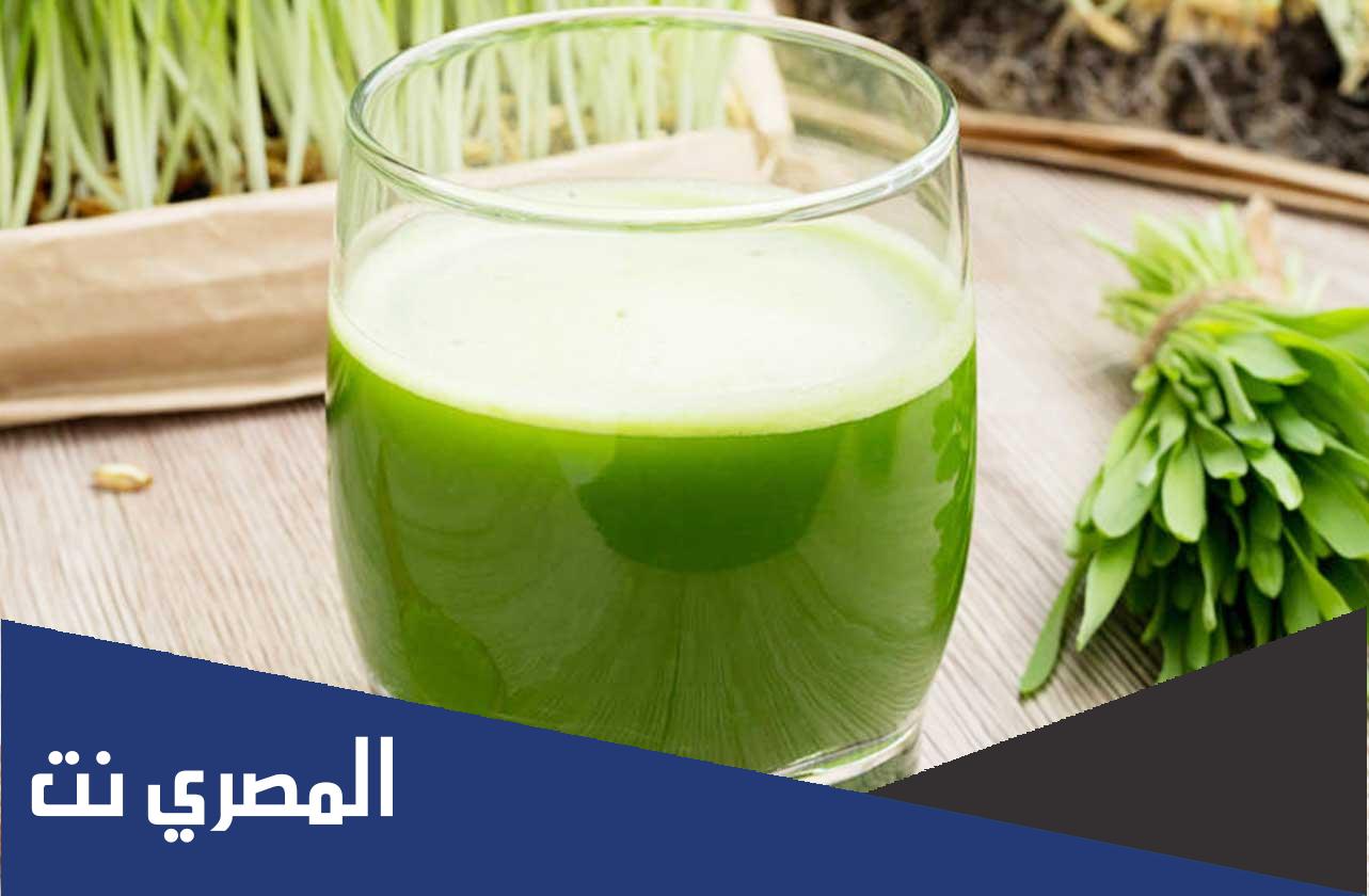 هل يوجد الكلوروفيل في الصيدليات