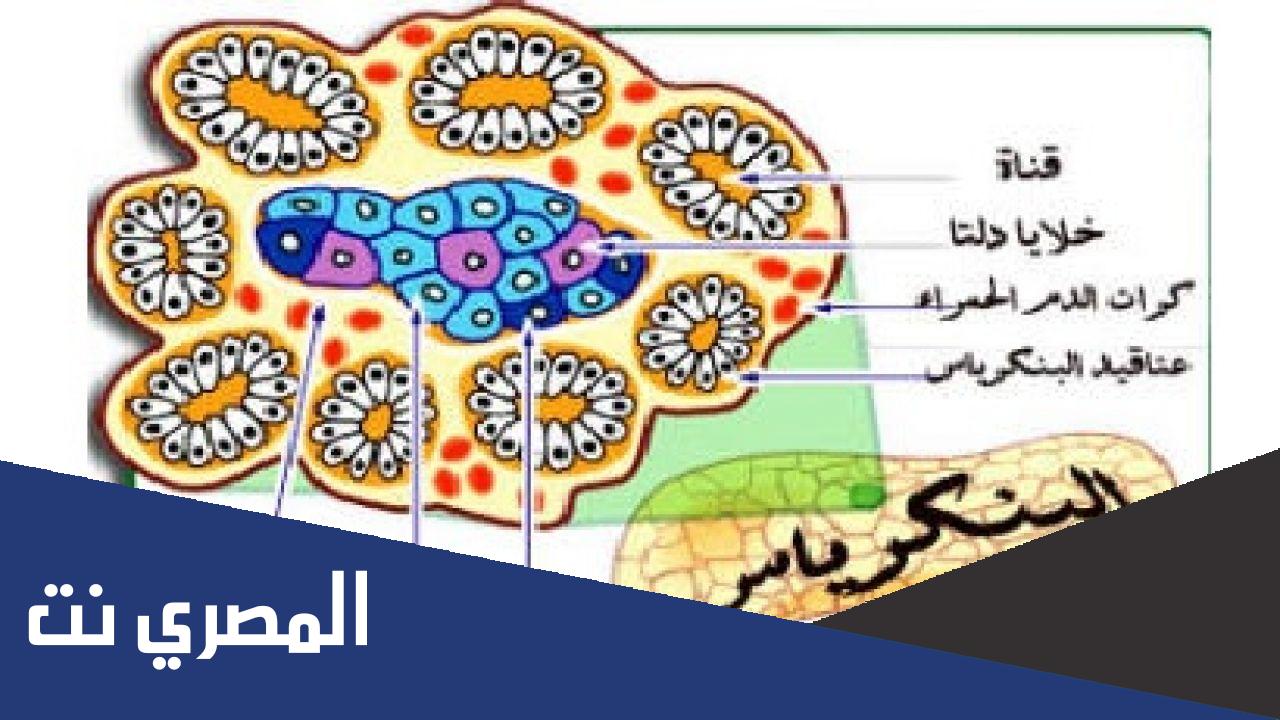 يوجد به جزر لانجرهانز من 7 حروف