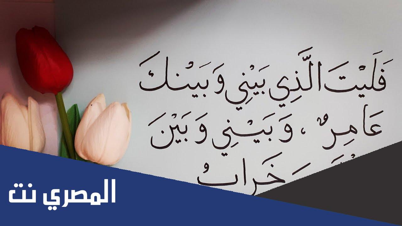 من القائل ليت الذي بيني وبينك عامر