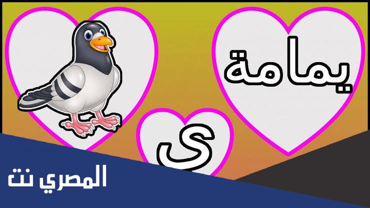 كلمات تحتوي على حرف الياء في قاموس اللغة العربية