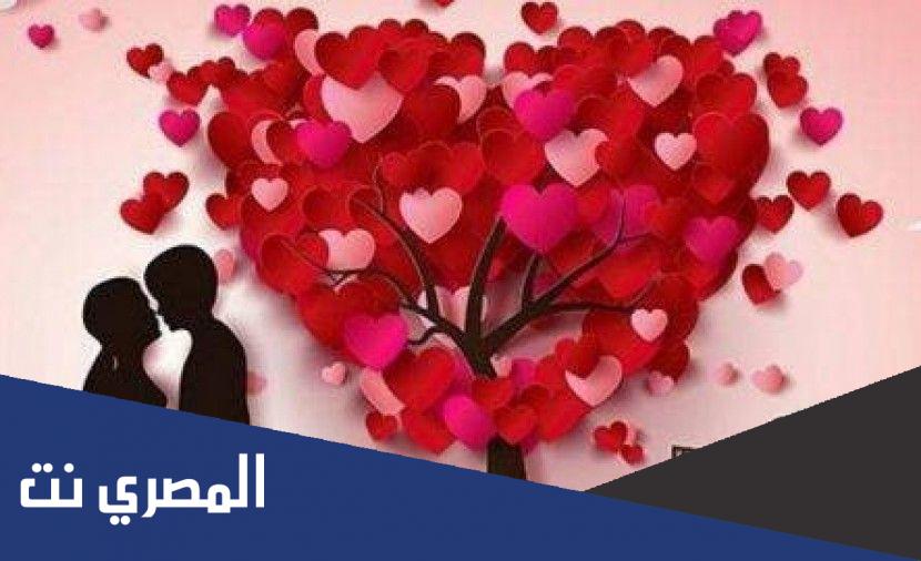 ما هو شعور الحب الحقيقي في علم النفس