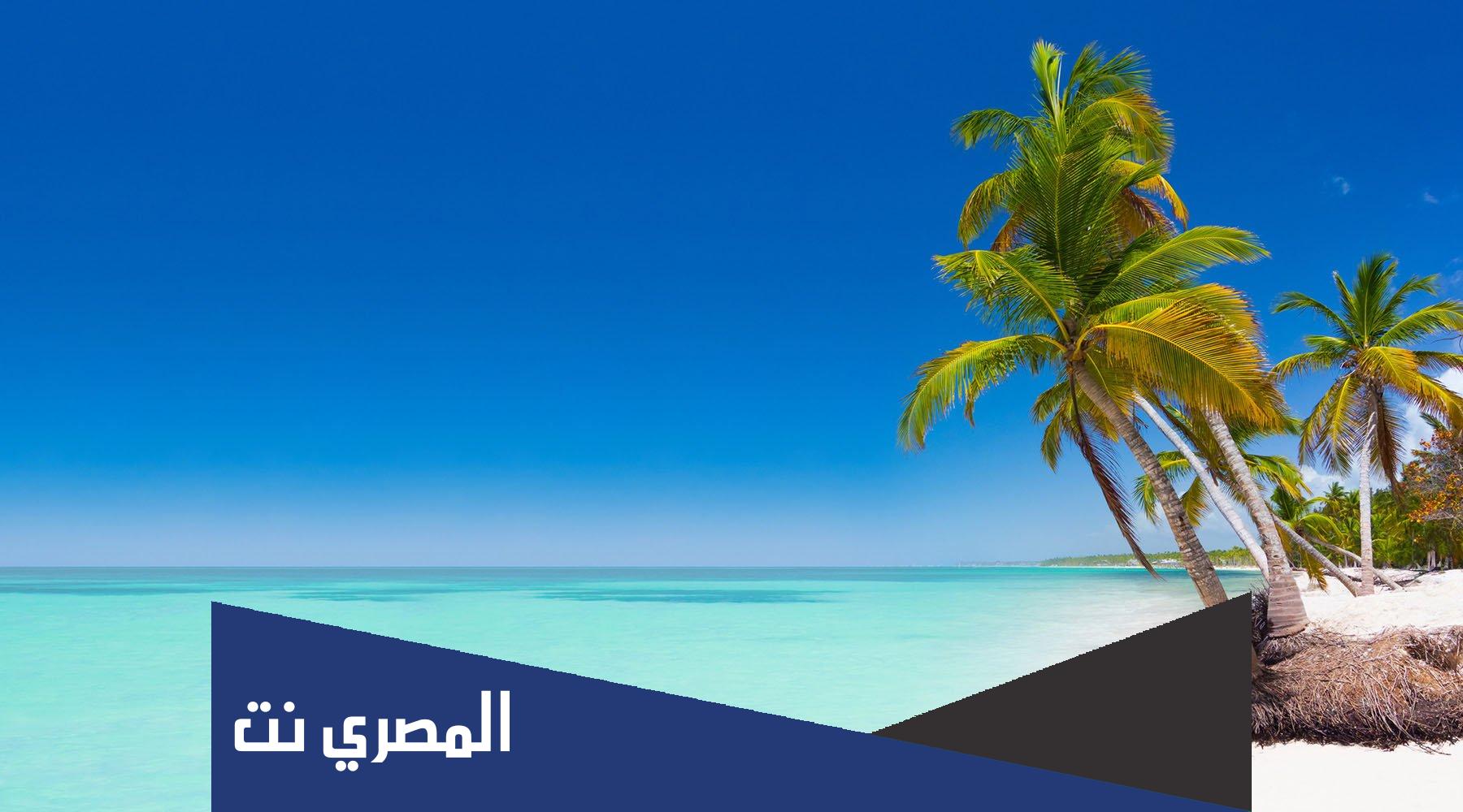 punta cana اين تقع