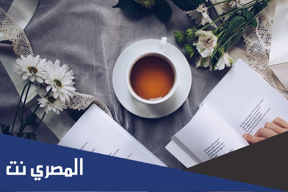 تنزيل رواية حب الفرسان كاملة pdf