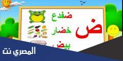كلمة تحتوي على حرف الضاد