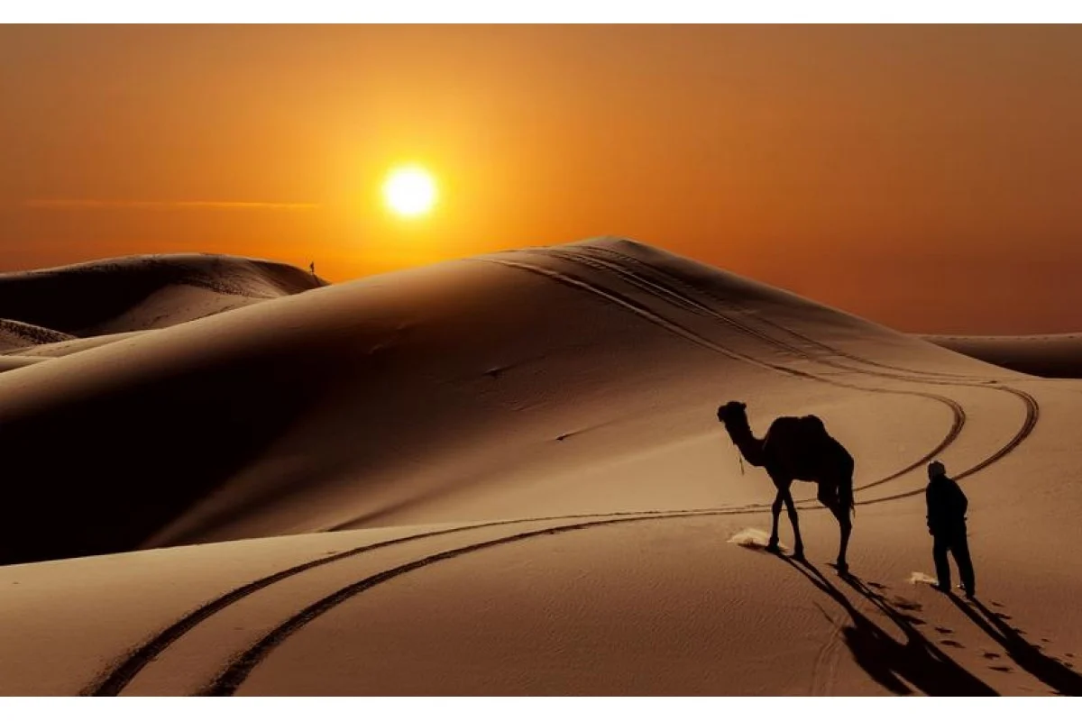 الجعيد وش يرجع له
