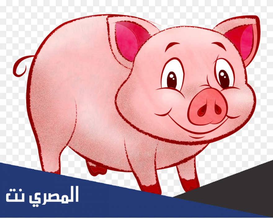 ما الحيوان الذي يتميز بلون زهري وذيل مجعد