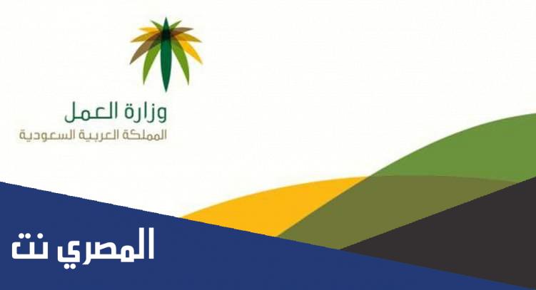الاستعلام عن نطاق المؤسسة برقم الاقامة أو رقم السجل التجاري