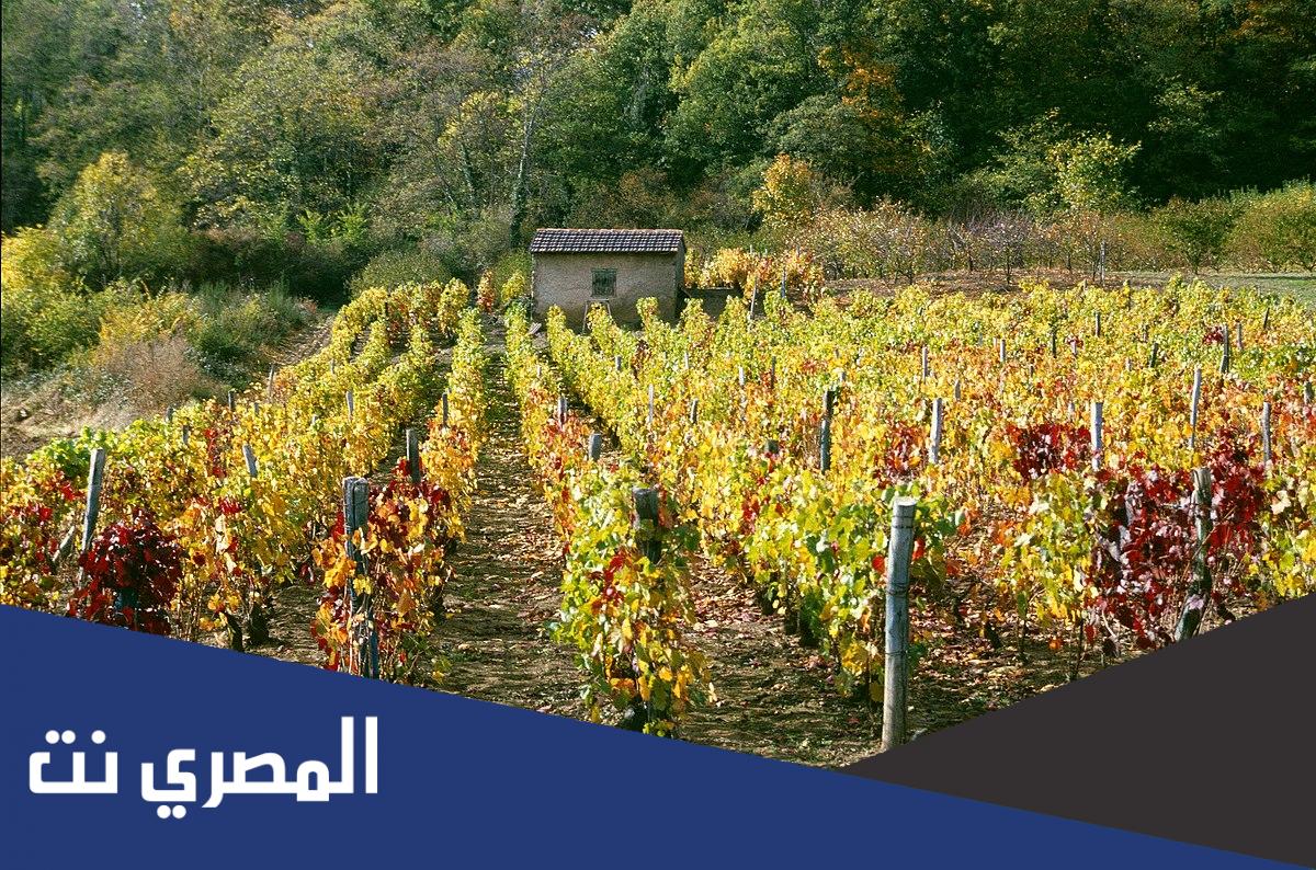 بحث عن الفلاحة و الصناعة و التجارة بالفرنسية