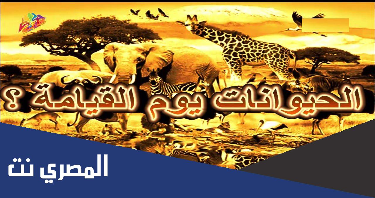 ما هو الحيوان الذي احياه الله بعد موته