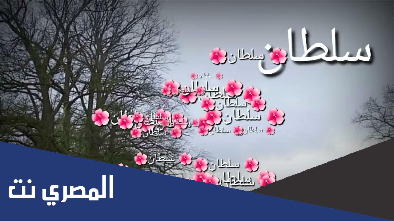 دلع اسم سلطان ومعناه في اللغة العربية وصفات حامله وحكم