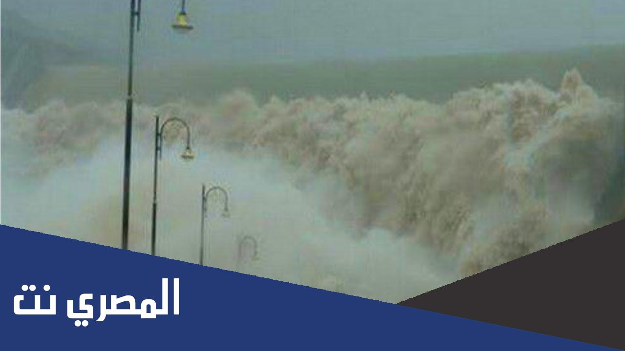 معلومات عن اعصار شاهين ويكيبيديا