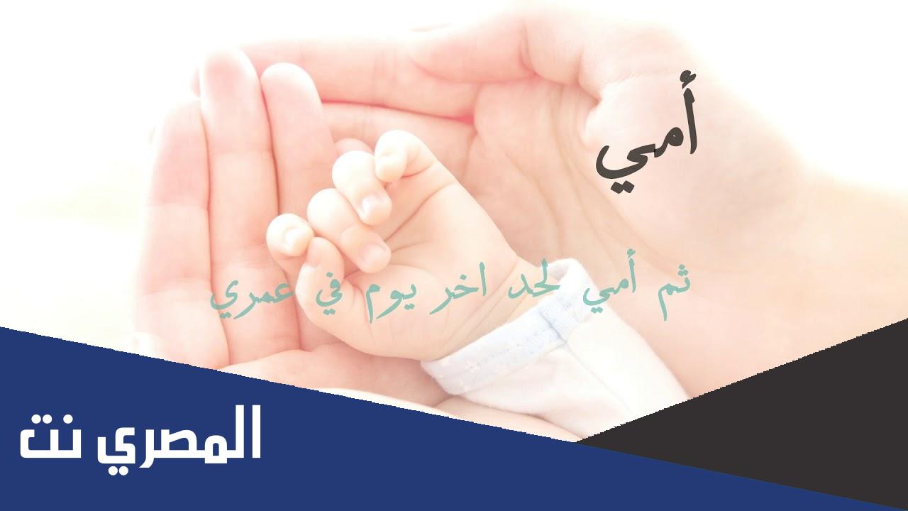 كلمات اغنية امي ثم امي لحد اخر يوم في عمري