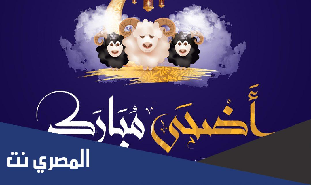 أجمل صور سكرابز خروف عيد الأضحى 1443