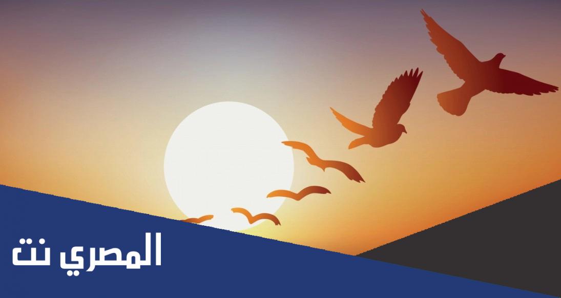 أحاديث عن الحرية