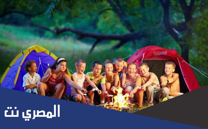 أفكار للنادي الصيفي