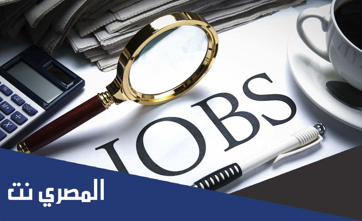 أكثر 10 وظائف دخلا في العالم