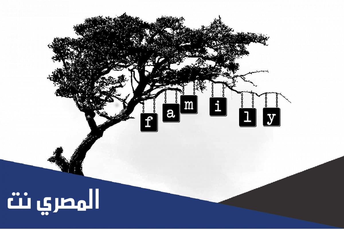 اكبر 10 عائلات في مصر من حيث العدد