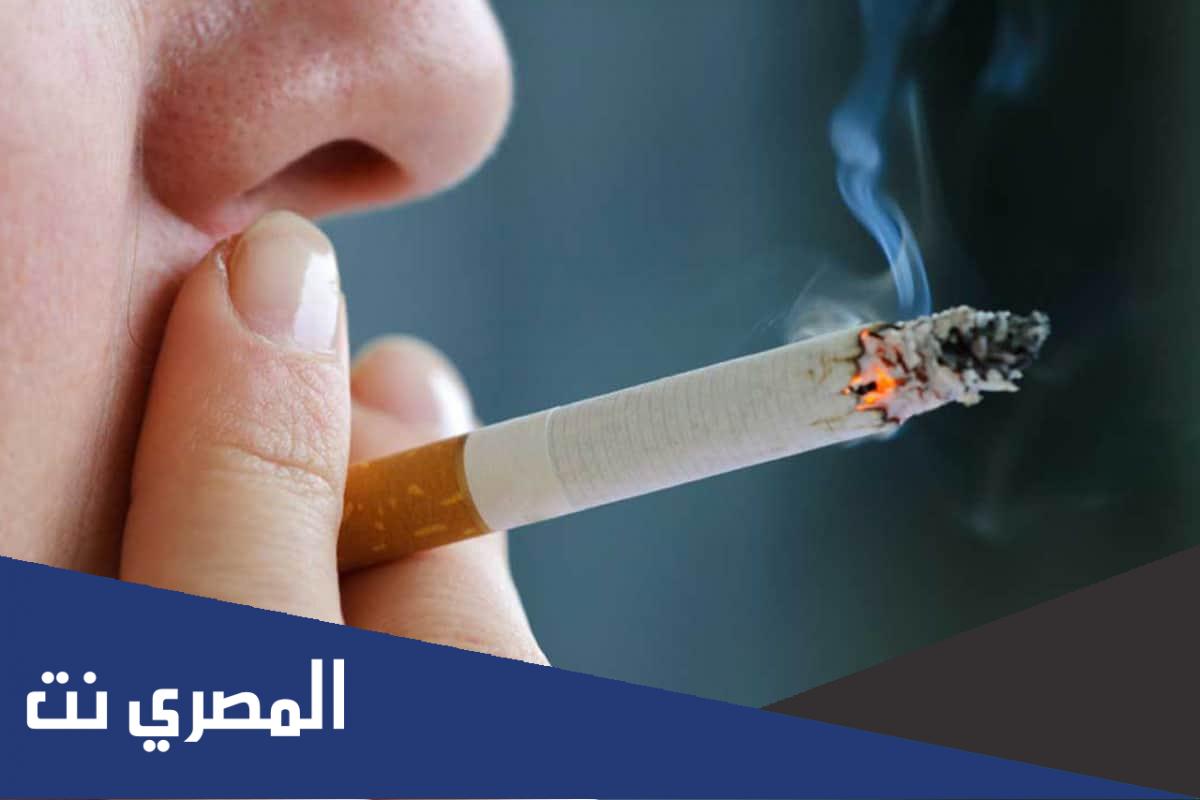 تقرير صحفي عن التدخين مقدمه وعرض وخاتمه