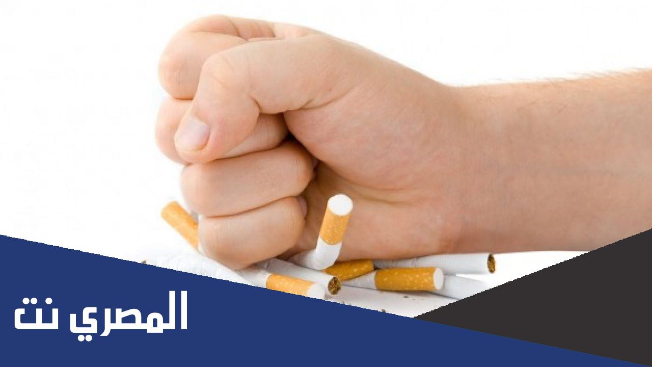 بحث عن التدخين مع المراجع