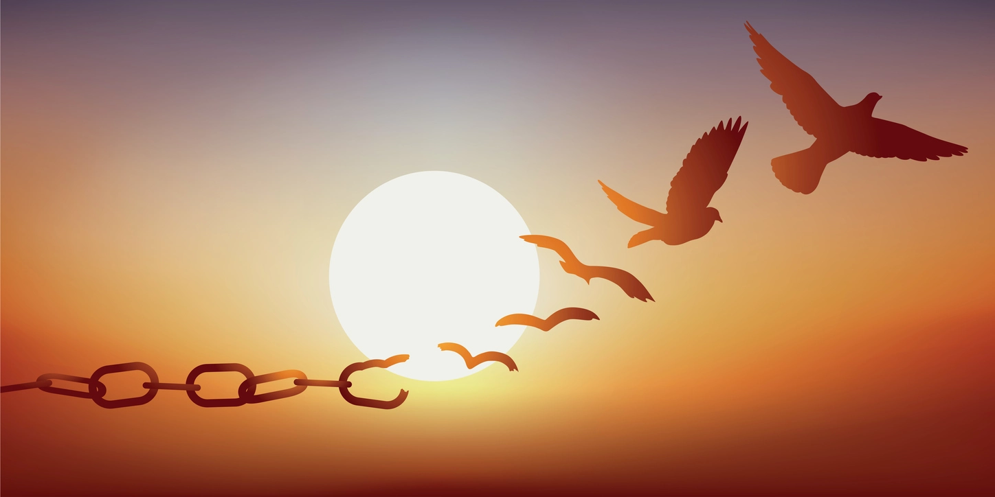 بحث عن الحرية بمعناها الإيجابي