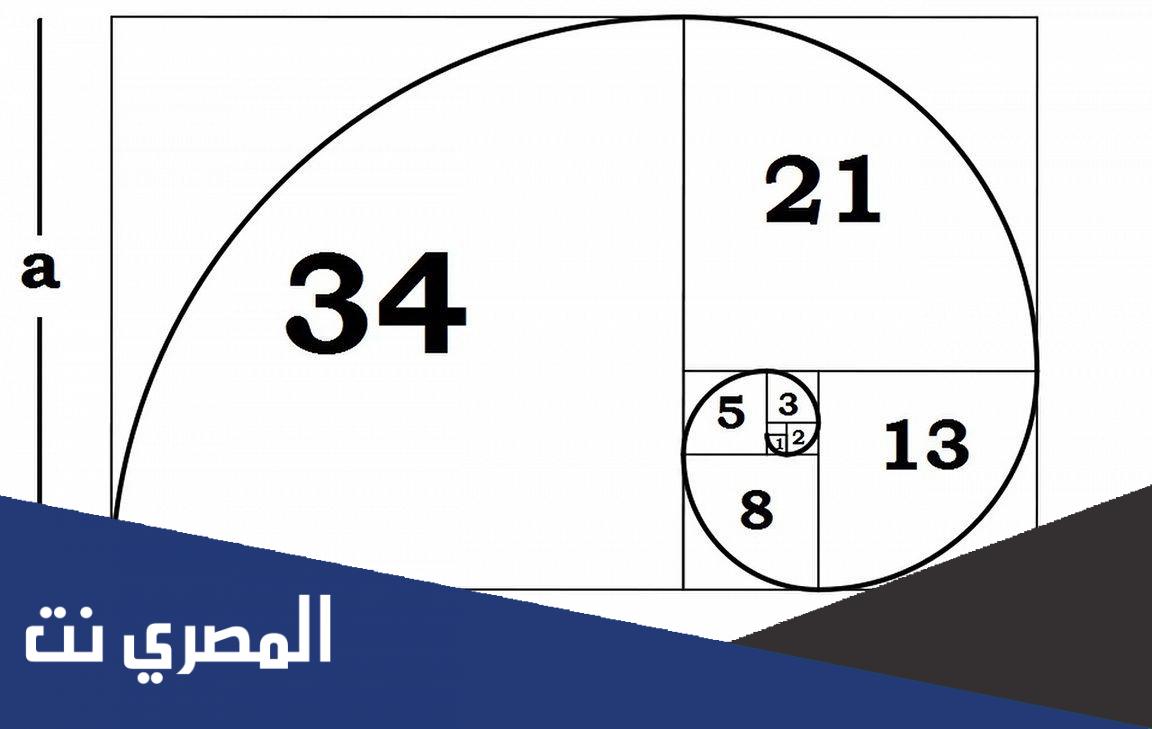 بحث عن النسبة الذهبية في التصميم