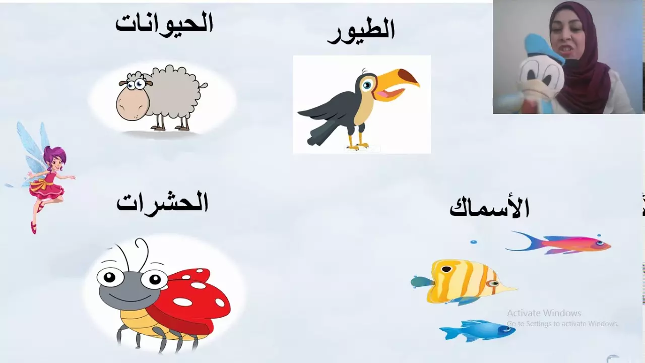 بحث عن جهود العلماء في تصنيف الحيوانات