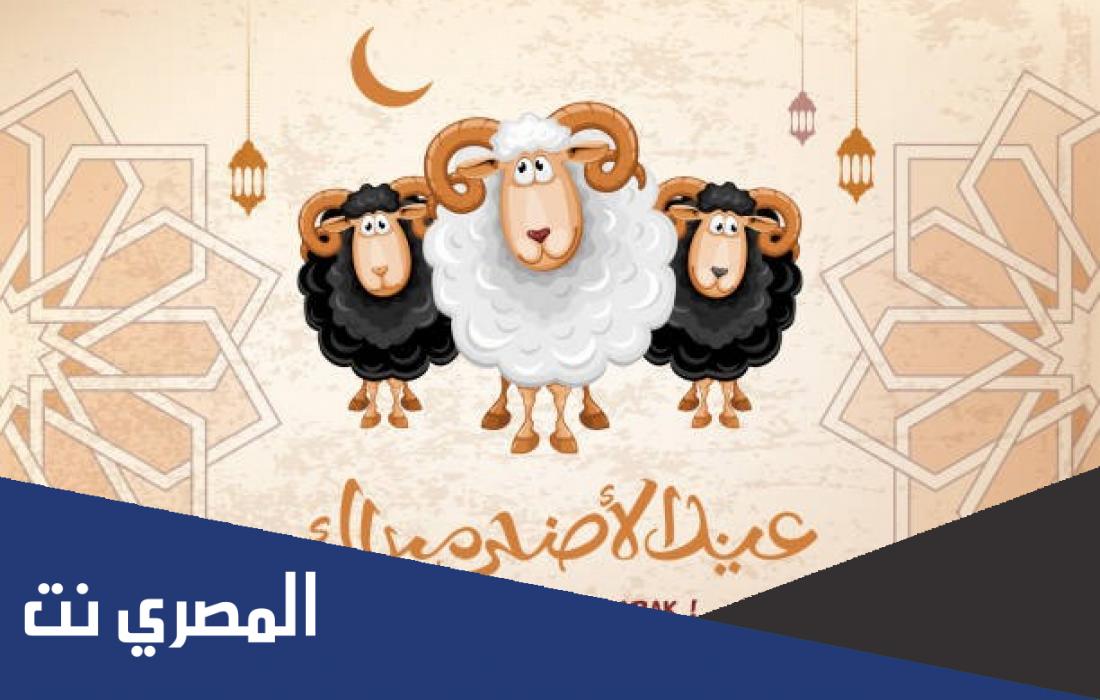 بطاقات تهنئة فارغة لعيد الأضحى 2022 ، أجمل كروت ...
