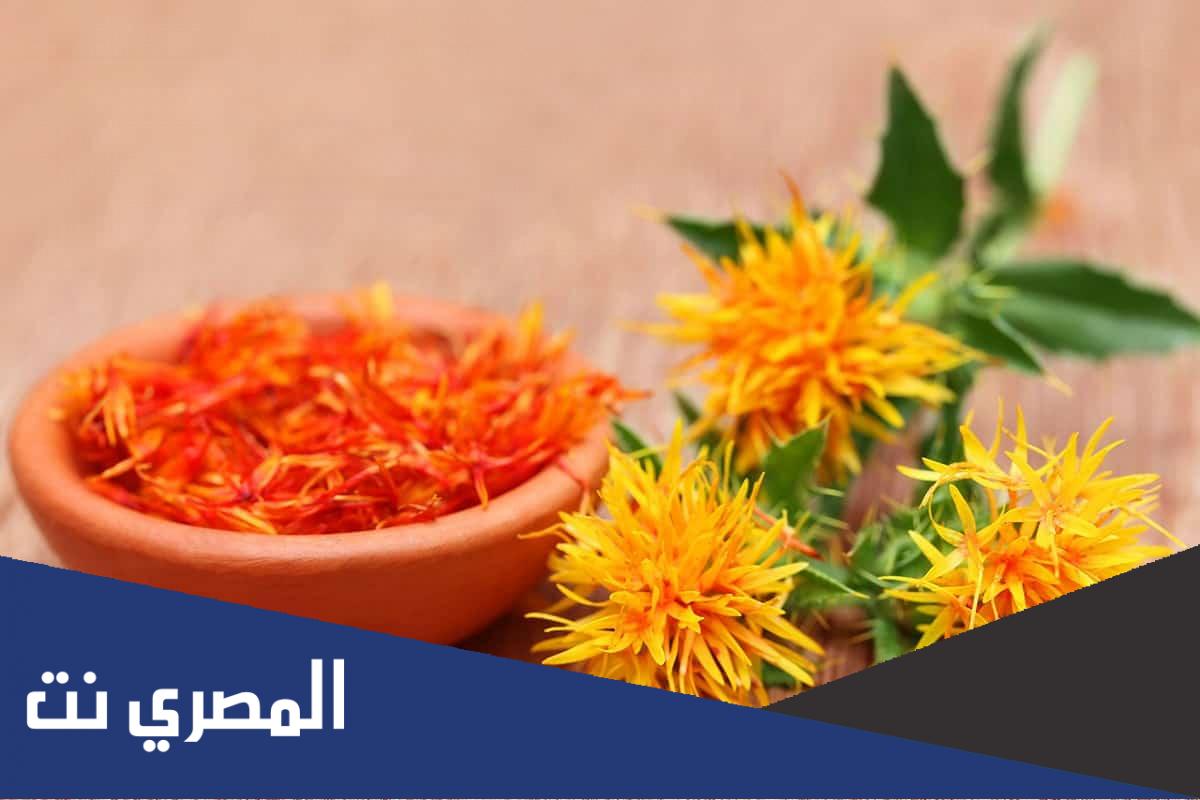 تجربتي مع العصفر للخوف وأهم الوصفات لعلاج الوسواس