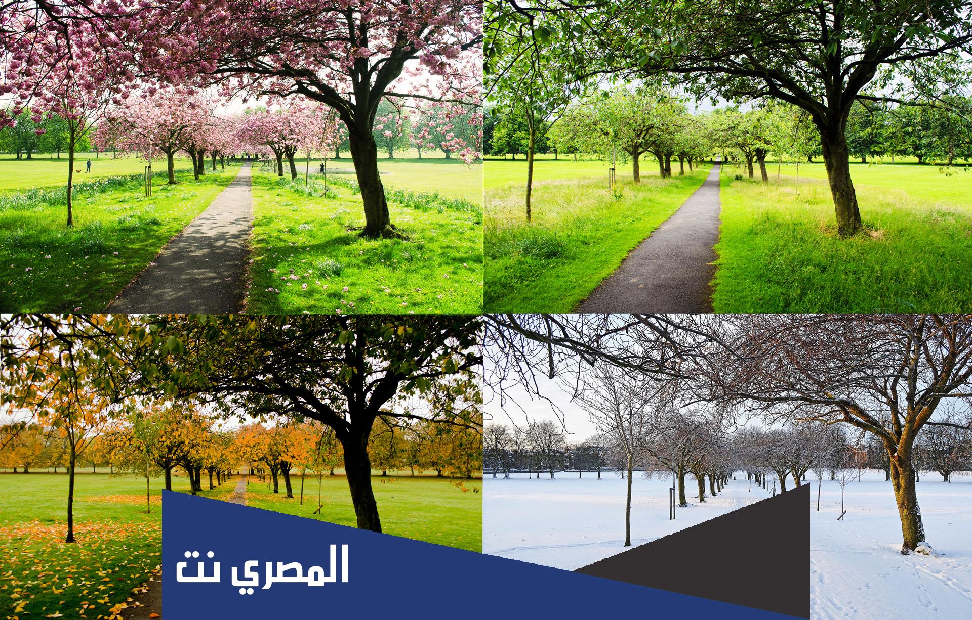 تصنيف الاشهر حسب الفصول