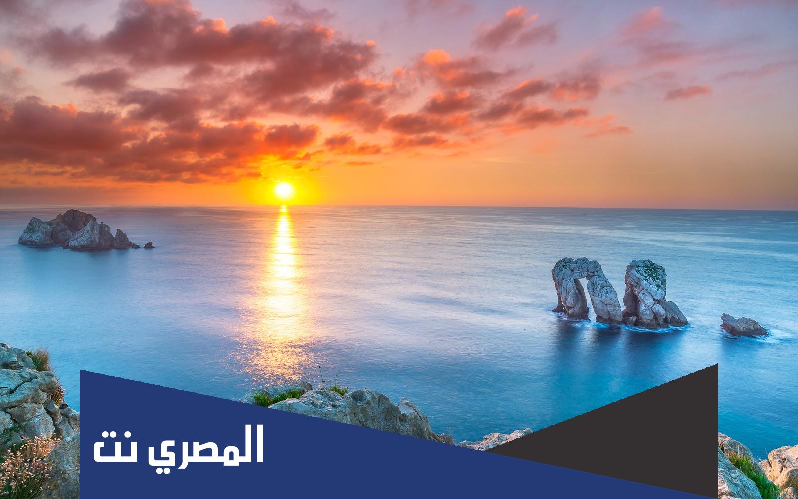 تقرير مبسط عن التماثل في الحياة