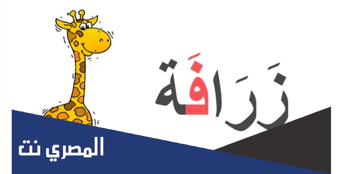كلمات بحرف الفاء في البداية والوسط والنهاية ومعانيها