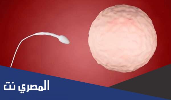 زوجي عنده ضعف في الحركة وحملت