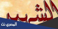 شعر بمناسبة يوم الشهيد المصري