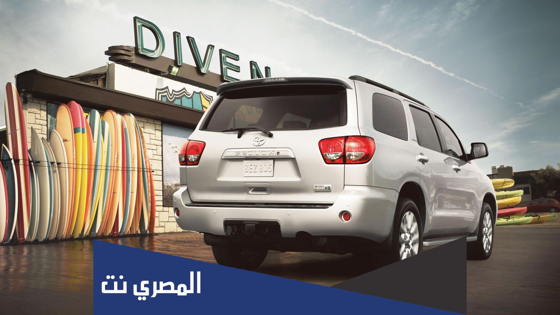 وش معنى سكويا تيك توك