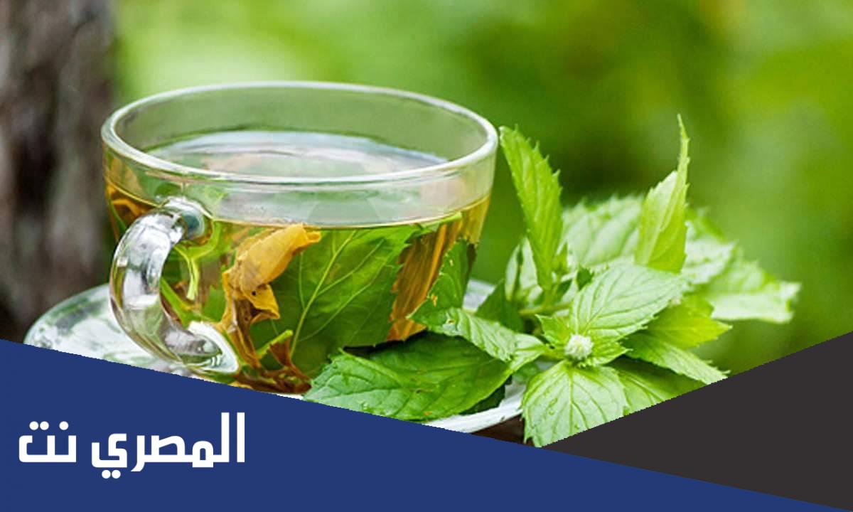 فوائد الشاي الأخضر بالنعناع قبل النوم