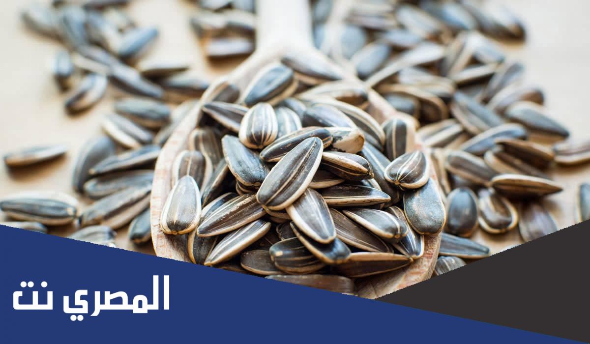 فوائد اللب السوري وأضراره وعلاقته بإنقاص الوزن