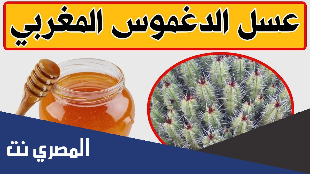 فوائد عسل الدغموس وطريقة استعماله