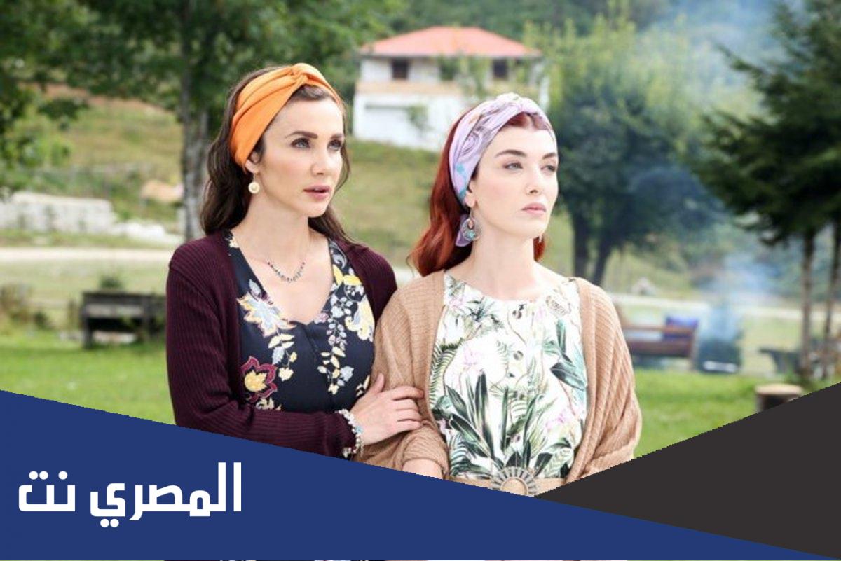 قصة مسلسل نجمة الشمال ويكيبيديا