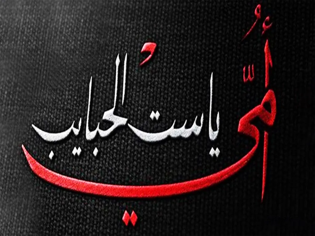 كلمات اغنية ست الحبايب مكتوبة كاملة