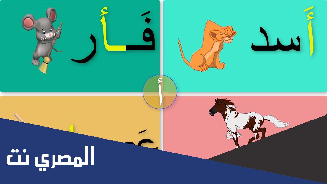كلمات بحرف الألف