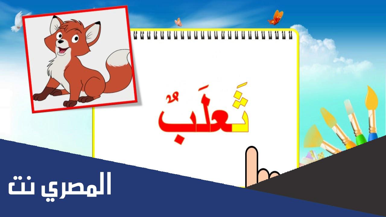 كلمات بحرف الثاء ومعانيها في البداية والوسط والنهاية